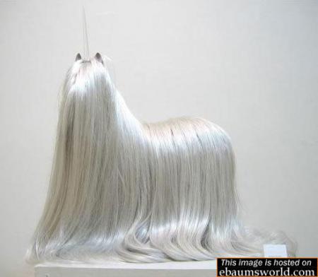 Animal bizarre